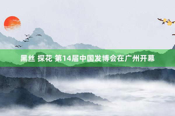 黑丝 探花 第14届中国发博会在广州开幕