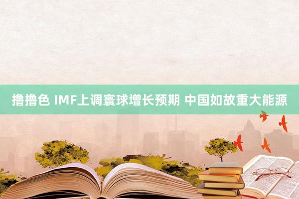 撸撸色 IMF上调寰球增长预期 中国如故重大能源