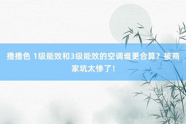 撸撸色 1级能效和3级能效的空调谁更合算？被商家坑太惨了！