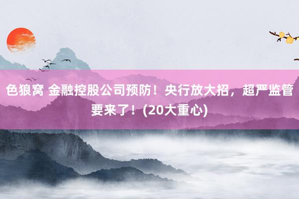 色狼窝 金融控股公司预防！央行放大招，超严监管要来了！(20大重心)