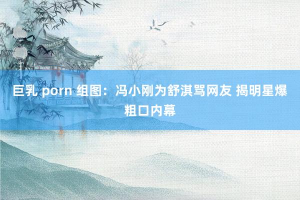 巨乳 porn 组图：冯小刚为舒淇骂网友 揭明星爆粗口内幕