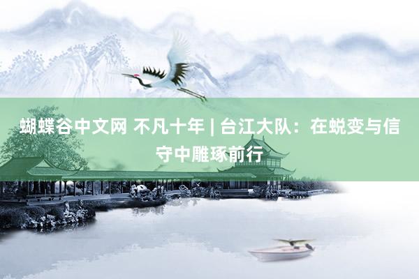 蝴蝶谷中文网 不凡十年 | 台江大队：在蜕变与信守中雕琢前行