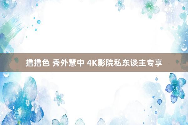 撸撸色 秀外慧中 4K影院私东谈主专享