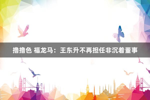 撸撸色 福龙马：王东升不再担任非沉着董事