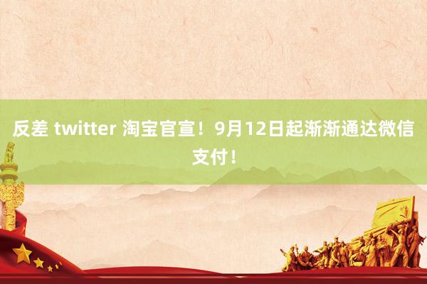 反差 twitter 淘宝官宣！9月12日起渐渐通达微信支付！