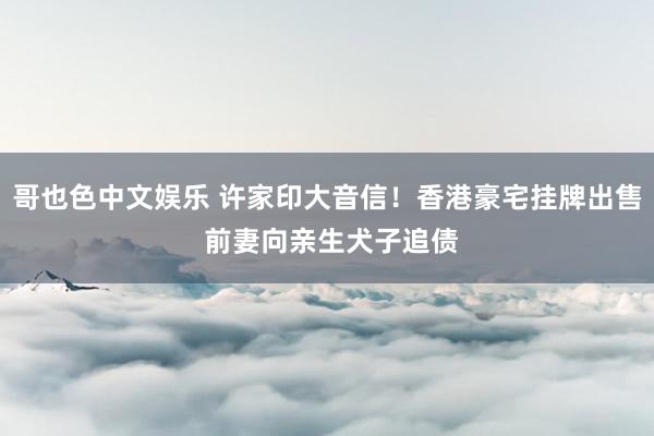哥也色中文娱乐 许家印大音信！香港豪宅挂牌出售 前妻向亲生犬子追债