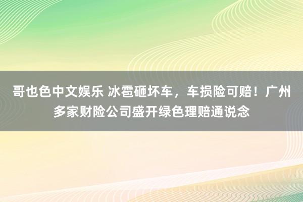 哥也色中文娱乐 冰雹砸坏车，车损险可赔！广州多家财险公司盛开绿色理赔通说念