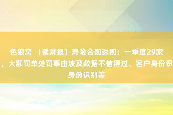 色狼窝 【读财报】寿险合规透视：一季度29家被罚，大额罚单处罚事由波及数据不信得过、客户身份识别等