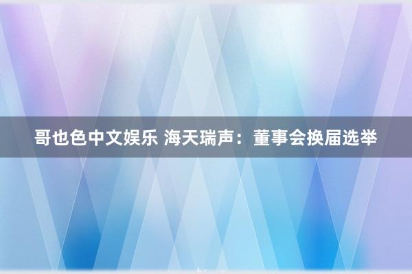 哥也色中文娱乐 海天瑞声：董事会换届选举