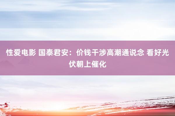 性爱电影 国泰君安：价钱干涉高潮通说念 看好光伏朝上催化