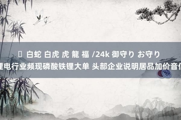 ✨白蛇 白虎 虎 龍 福 /24k 御守り お守り 锂电行业频现磷酸铁锂大单 头部企业说明居品加价音信