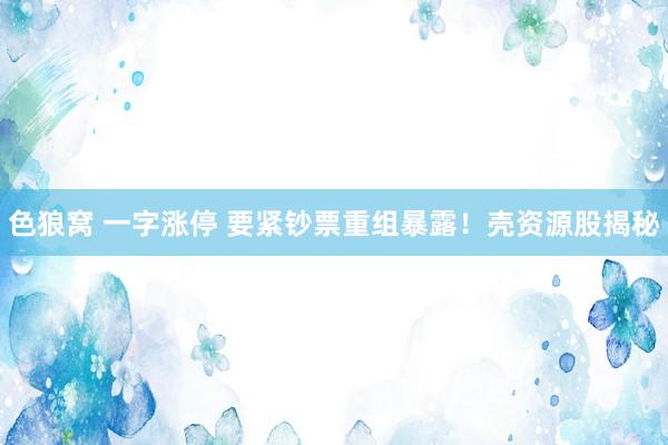 色狼窝 一字涨停 要紧钞票重组暴露！壳资源股揭秘