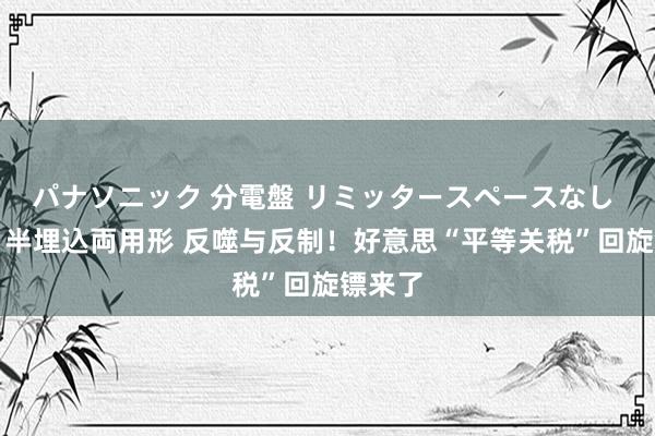 パナソニック 分電盤 リミッタースペースなし 露出・半埋込両用形 反噬与反制！好意思“平等关税”回旋镖来了